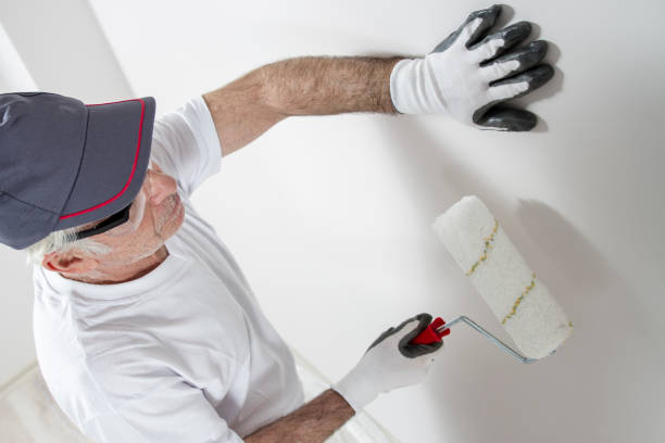 Best Post-Construction Mold Inspection  in Wells Branch, TX