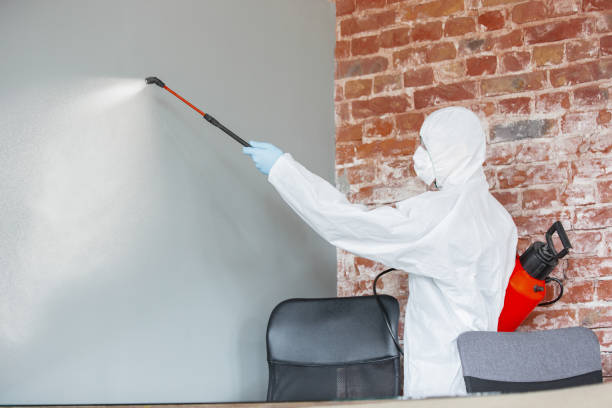 Best Mold Remediation for Vacation Homes  in Wells Branch, TX