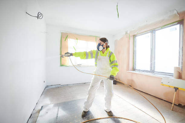 Best Attic Mold Removal  in Wells Branch, TX