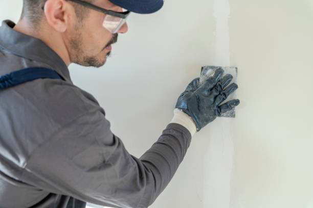Best Mold Prevention Services  in Wells Branch, TX