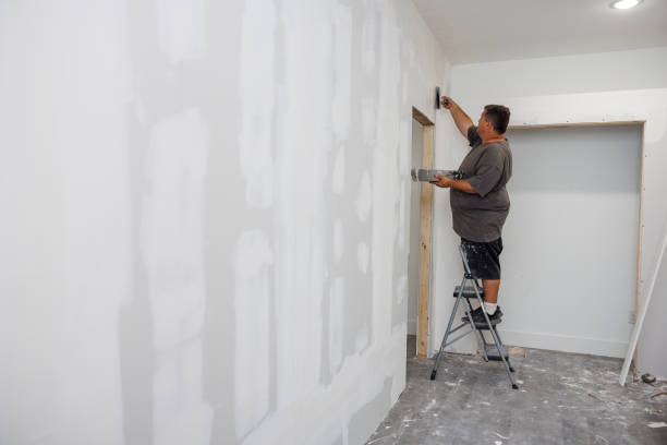  Wells Branch, TX Mold Removal Pros