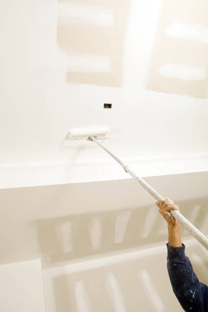 Best Water Damage & Mold Remediation  in Wells Branch, TX