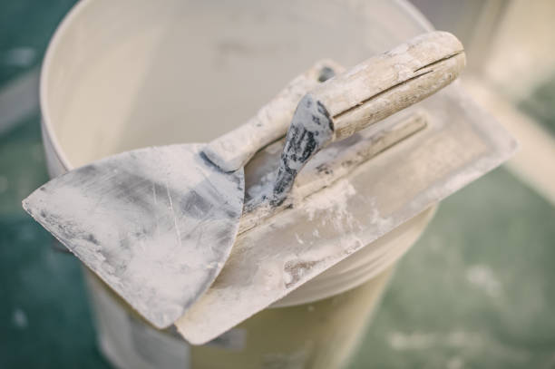 Best Commercial Mold Inspection  in Wells Branch, TX