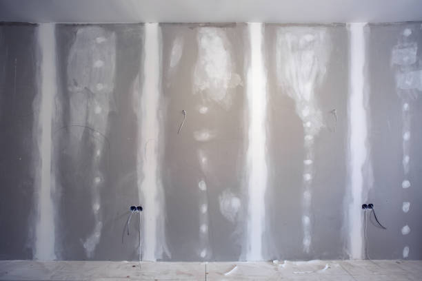 Best Basement Mold Removal  in Wells Branch, TX
